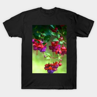 Fuchsia T-Shirt